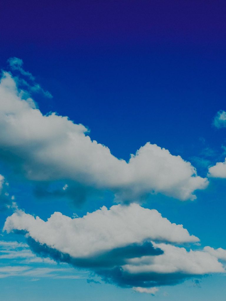 Photo Camille Perrin Studio