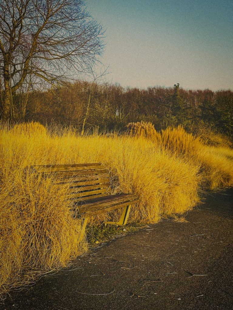 Photo Camille Perrin Studio