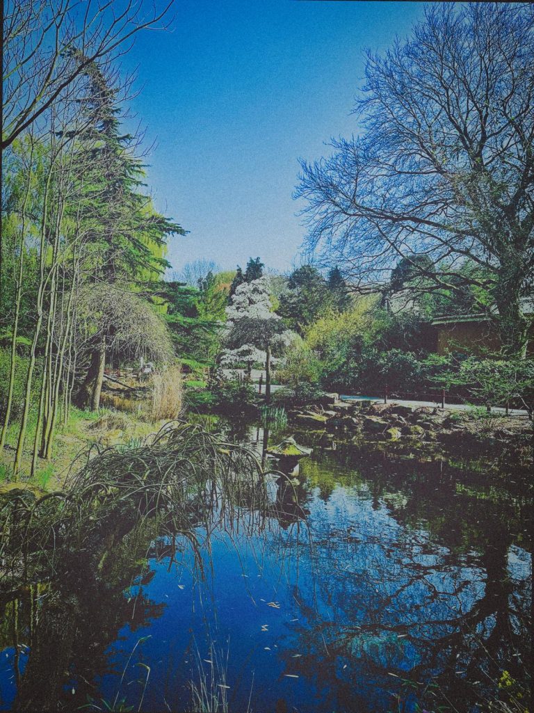 Photo Camille Perrin Studio