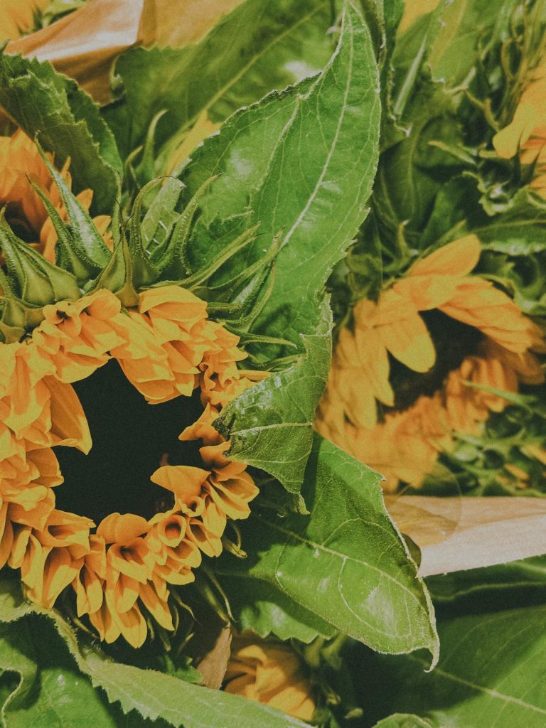 Photo Camille Perrin Studio