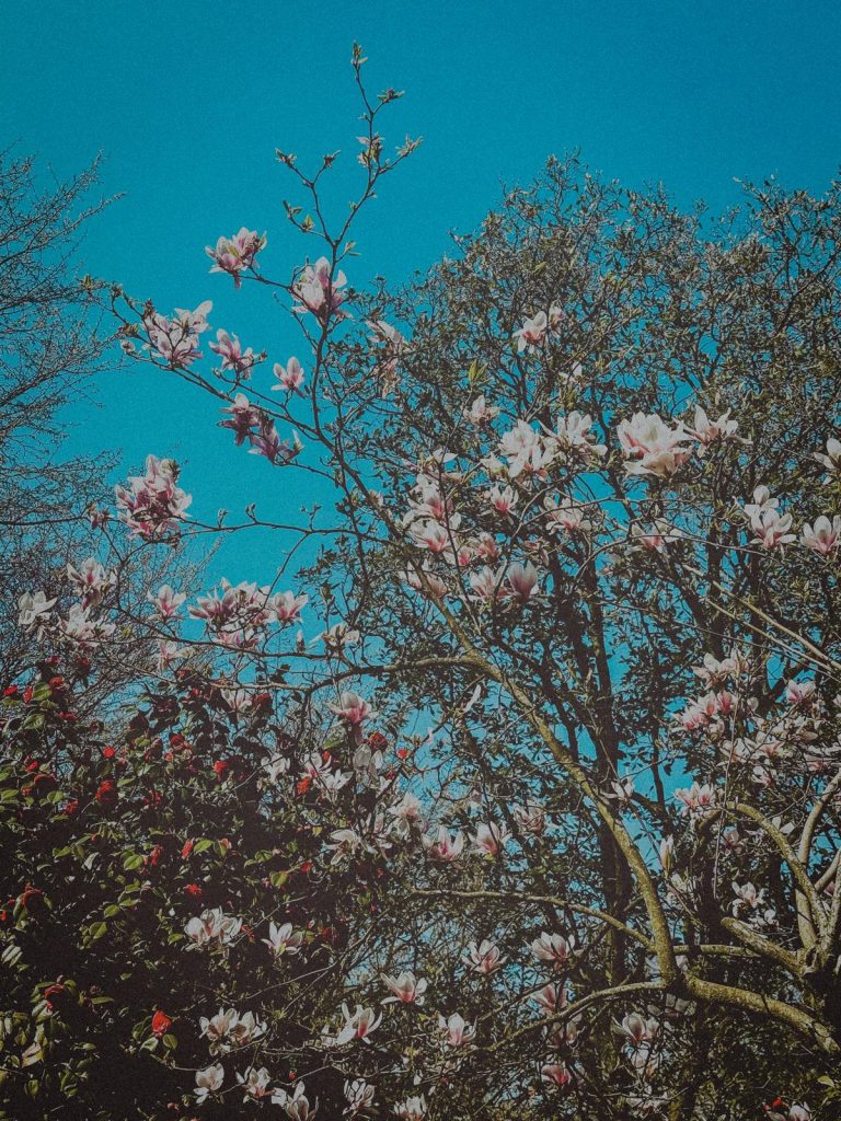 Photo Camille Perrin Studio