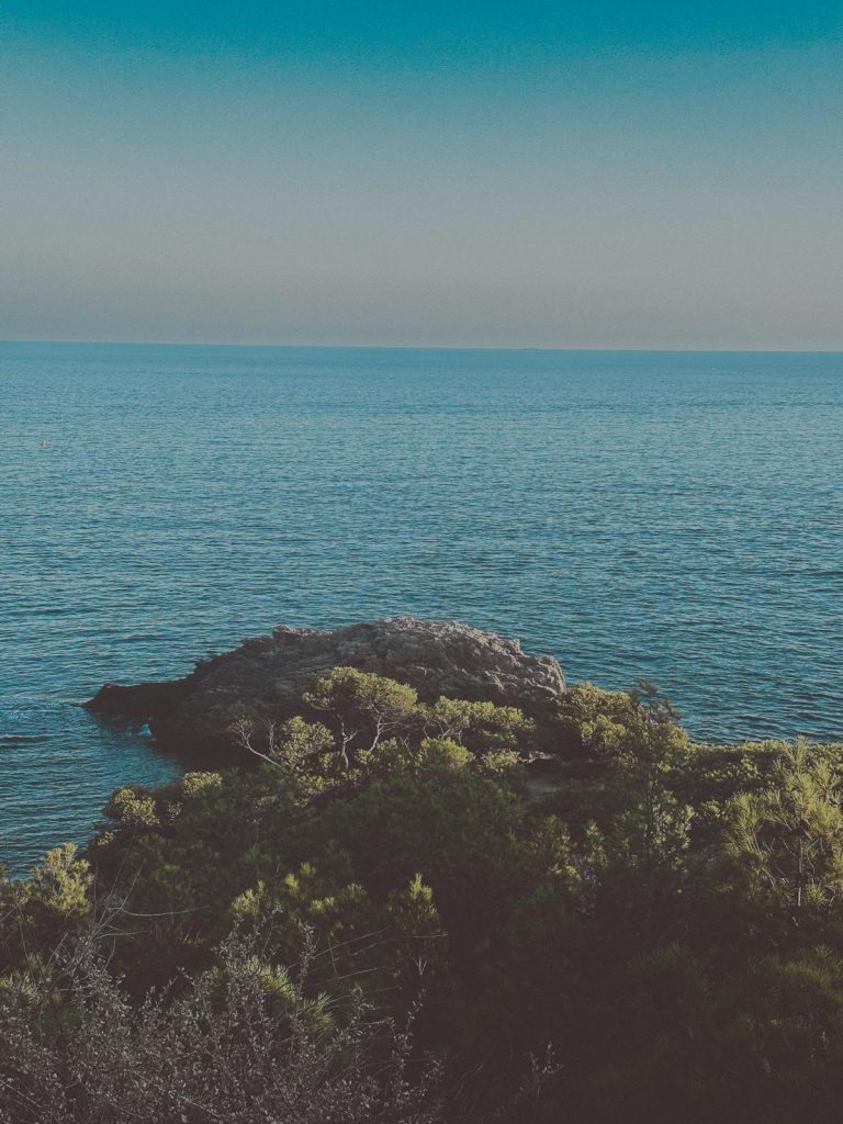 Photo Camille Perrin Studio