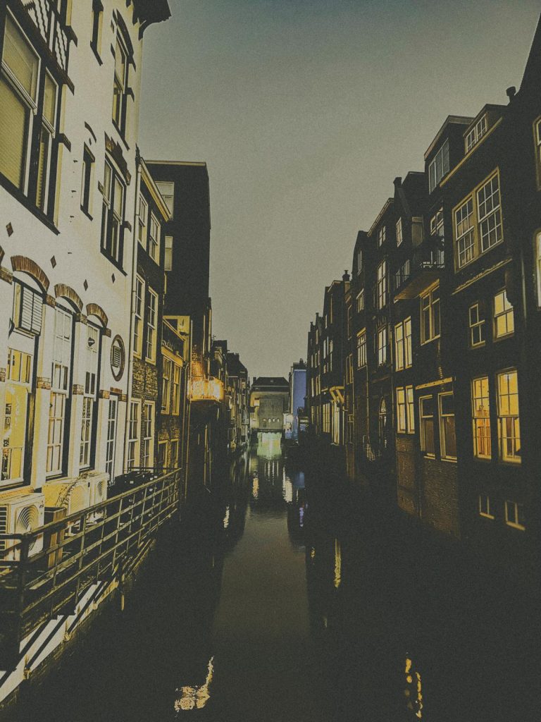 Photo Camille Perrin Studio