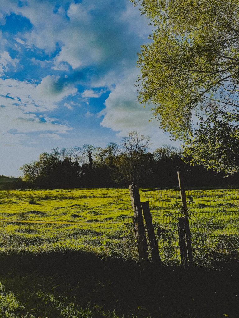 Photo Camille Perrin Studio